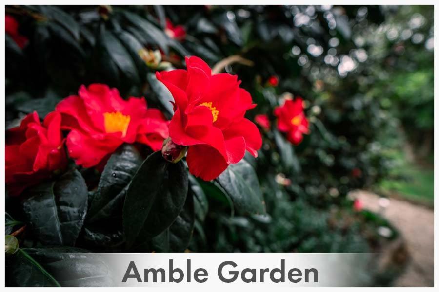Amble At Hahndorf Bed & Breakfast Eksteriør bilde