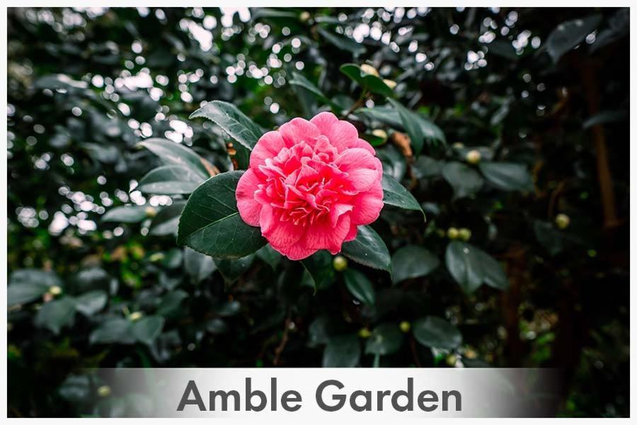 Amble At Hahndorf Bed & Breakfast Eksteriør bilde