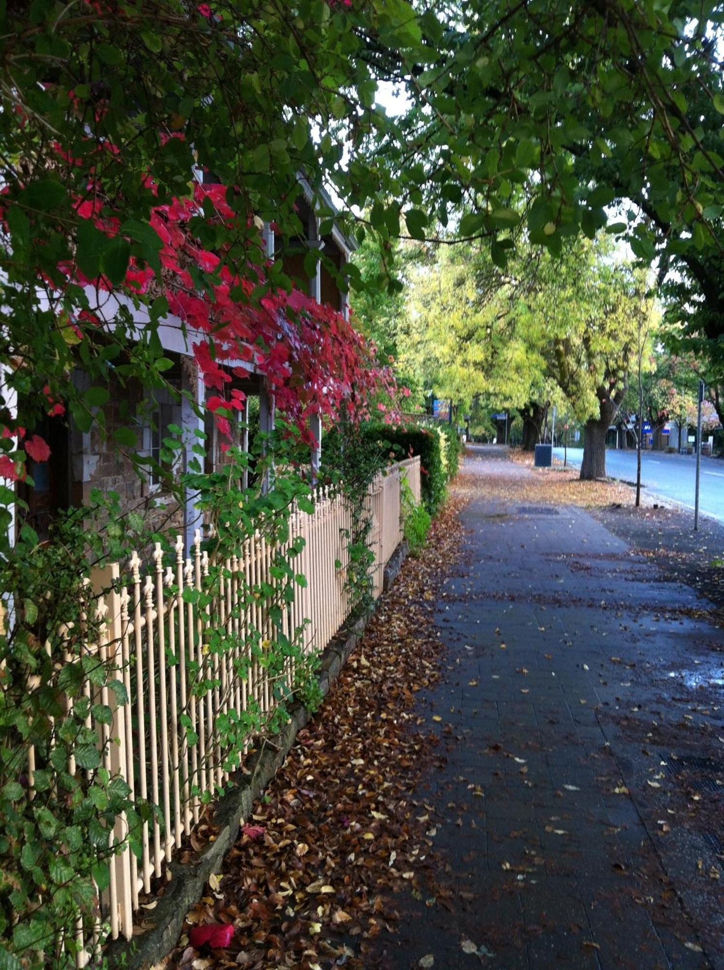 Amble At Hahndorf Bed & Breakfast Eksteriør bilde