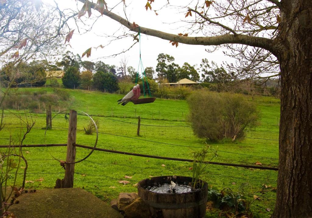 Amble At Hahndorf Bed & Breakfast Rom bilde