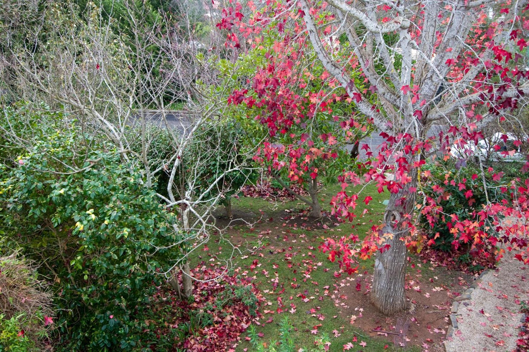 Amble At Hahndorf Bed & Breakfast Eksteriør bilde