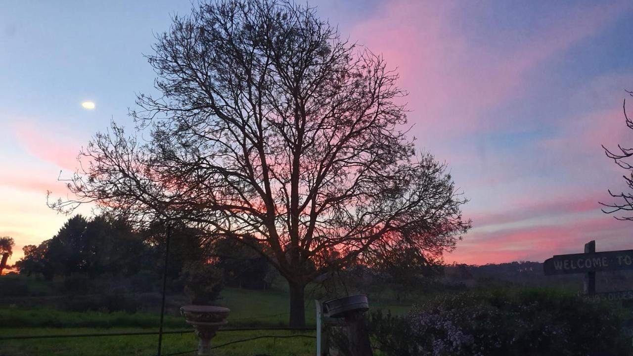 Amble At Hahndorf Bed & Breakfast Eksteriør bilde